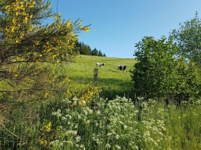 caravan Auw Farm Life Escape - Environment photo 15