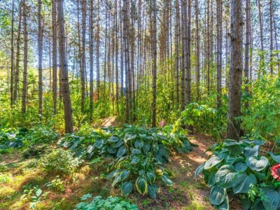 caravan Auw Farm Life Escape - Environment photo 25