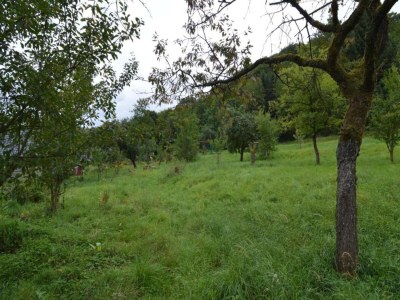 caravan Auw Farm Life Escape - Environment photo 30