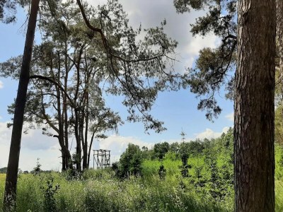 Holiday park Appartement Hafenflair am Plauer See - Environment photo 9