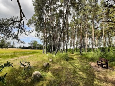 Holiday park Appartement Hafenflair am Plauer See - Environment photo 27