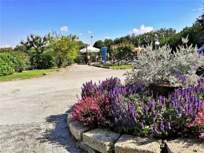 Villa Villa in Marche mit Privatpool - Outdoor photo 3