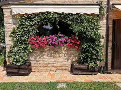 Villa Villa in Marche mit Privatpool - Features photo 40