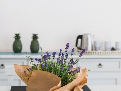 Holiday house Villa Nettuno - Features photo 11