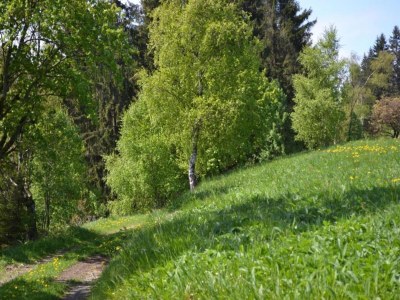 Apartment Charmantes Refugium, Harz - Environment photo 34