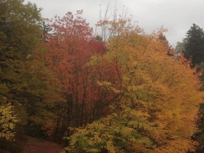 Apartment Sonniges Dachgeschoss-Refugium, Wildemann - Environment photo 20