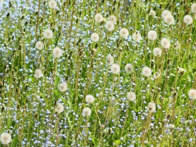 Apartment Sonniges Dachgeschoss-Refugium, Wildemann - Environment photo 22