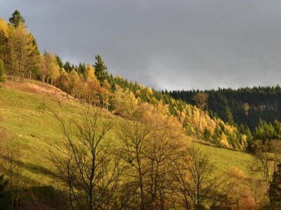 Apartment Sonniges Dachgeschoss-Refugium, Wildemann - Environment photo 28