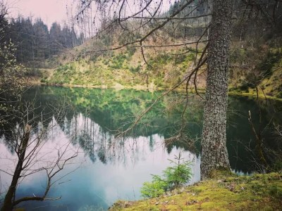 Apartment Apartment in Wildemann in der Nähe des Harzes - Environment photo 16