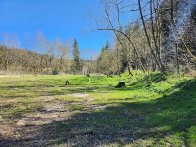 Apartment Apartment in Wildemann in der Nähe des Harzes - Environment photo 20
