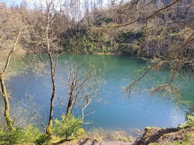 Apartment Apartment in Wildemann in der Nähe des Harzes - Environment photo 28