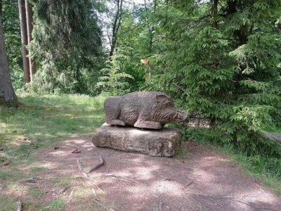 Apartment Apartment in Wildemann in der Nähe des Harzes - Environment photo 29