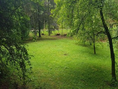 Apartment Charmantes Refugium, Harz - Environment photo 37