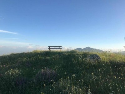 Holiday house Holiday Home in Albidona near Seaside - Environment photo 28