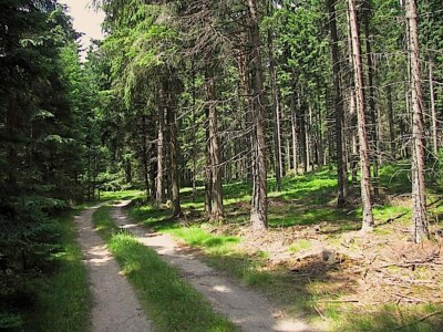 Holiday house Holiday Home in Altmelon near Weinsberg Forest - Environment photo 31