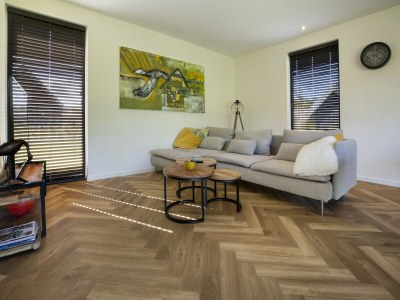 Holiday park Villa in Friesland mit Garten und Terrasse - Features photo 10