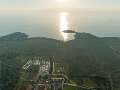 Apartment Haus Wolbeck - One-bedroom Apartment No.1 with Sea View - Environment photo 25