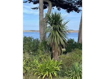 Villa "Pieds dans l'eau" Kergoz - Environment photo 39