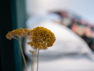 Holiday house Heritage Vila malena - Features photo 28