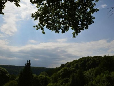 Holiday house Neuendorf Hillside Haven - Environment photo 38