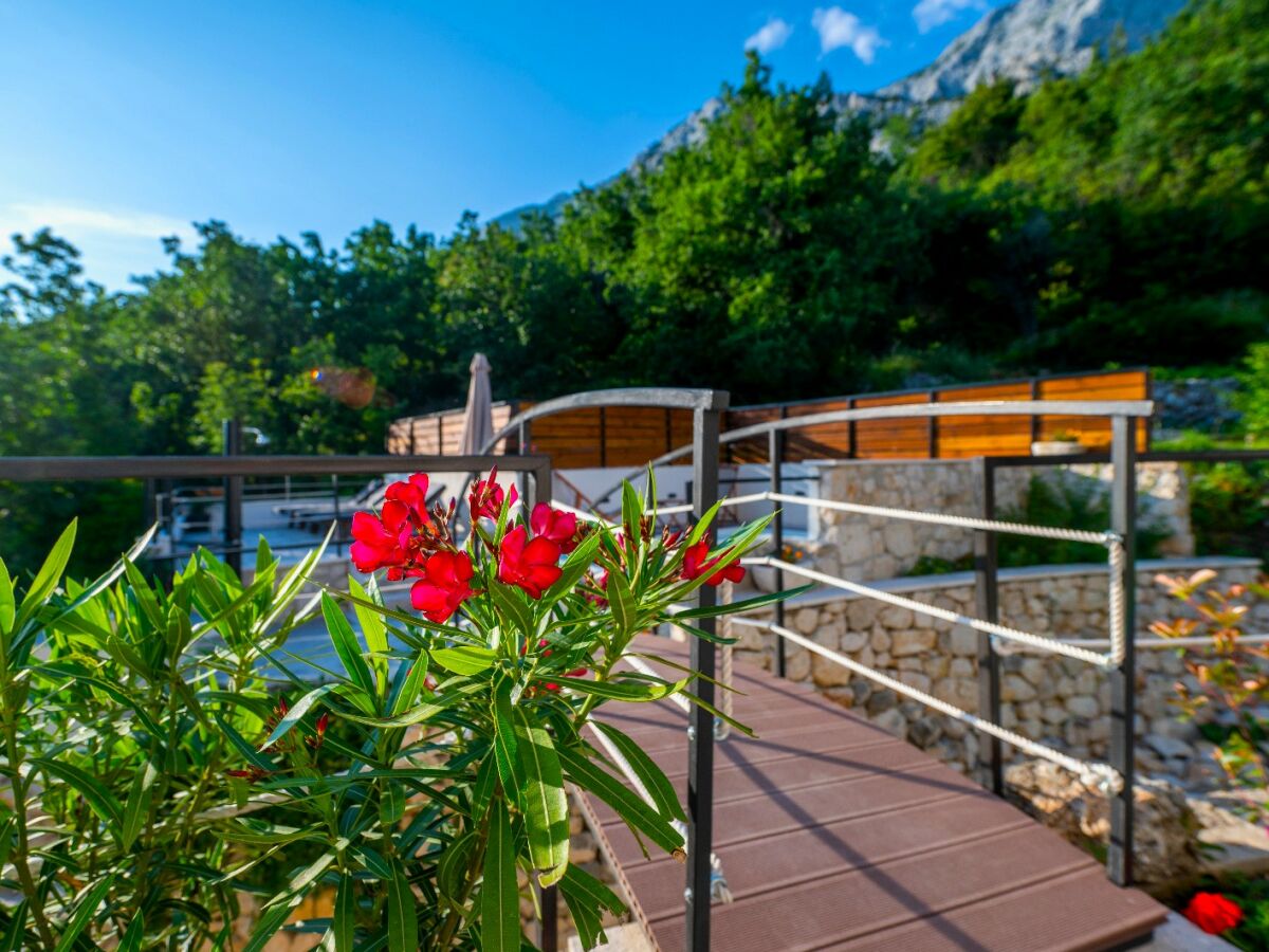 Villa Didovina - Outdoor photo 5