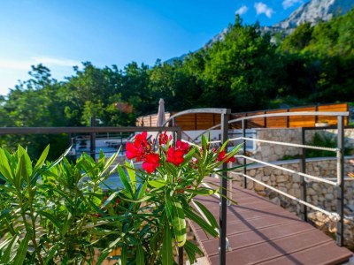 Villa Didovina - Outdoor photo 42