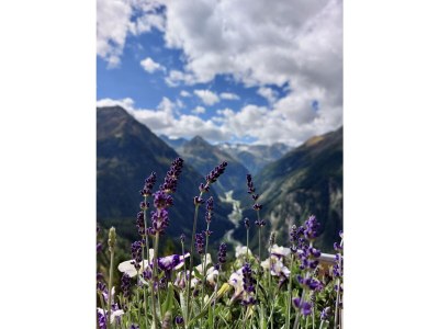 Apartment No title - Environment photo 29