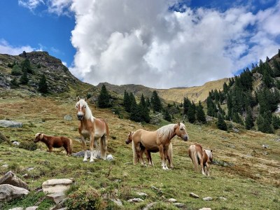 Apartment No title - Environment photo 30