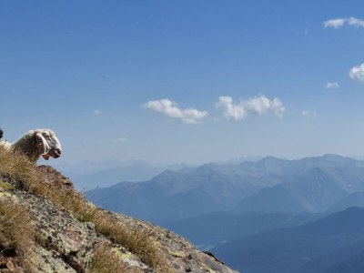 Apartment No title - Environment photo 31