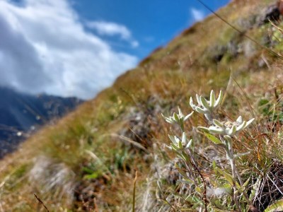 Apartment No title - Environment photo 34