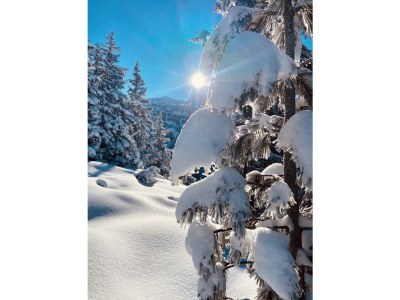 Apartment No title - Environment photo 39