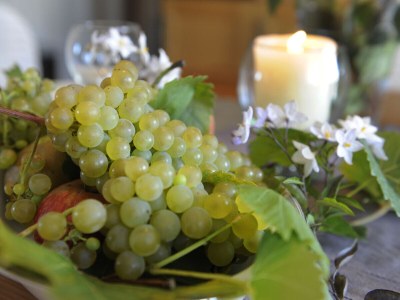 Holiday house Le repère de Julie - Features photo 28