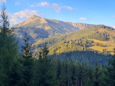 Chalet Luxury Chalet Familie Leitner - Environment photo 14