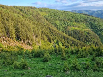 Chalet Luxury Chalet Familie Leitner - Environment photo 15