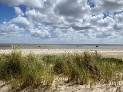 Holiday apartment Apartment 140 with sea view & sauna Texel - Environment photo 13