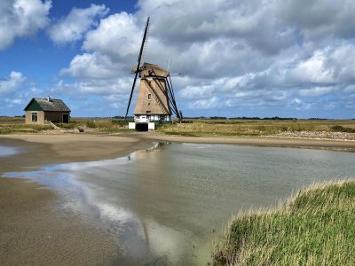 Holiday apartment Apartment 140 with sea view & sauna Texel - Environment photo 14