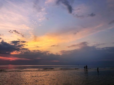 Holiday apartment Apartment 140 with sea view & sauna Texel - Environment photo 18