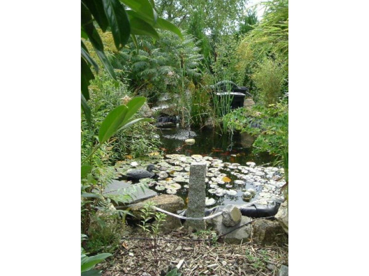 Apartment Appartement/Fewo, Dusche und Bad, WC, 1 Schlafraum - Outdoor photo 4