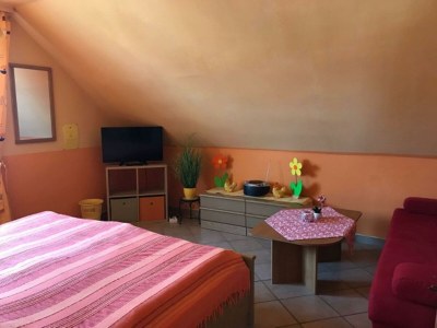 Apartment Appartement/Fewo, Dusche und Bad, WC, 1 Schlafraum - Features photo 21