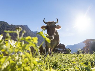 Apartment Kleine Ferienwohnung "Almfleckl" - Outdoor photo 13