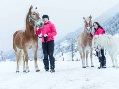 Apartment Kleine Ferienwohnung "Almfleckl" - Outdoor photo 24