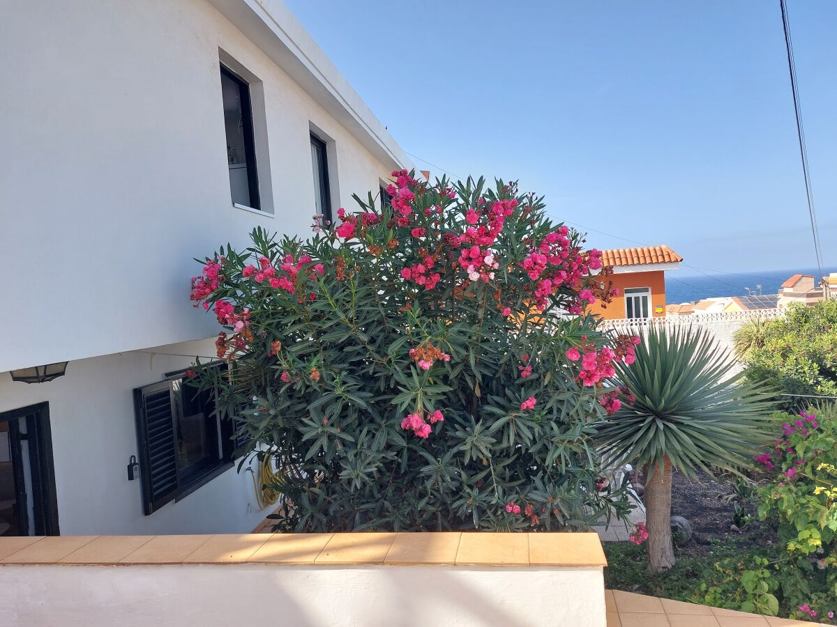 Apartment La Casa Blanca - Outdoor photo 2