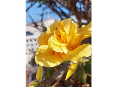 Apartment La Casa Blanca - Outdoor photo 8