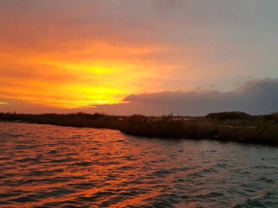 Holiday house 5 Personen Ferienhaus in Dannemare-By Traum - Outdoor photo 12