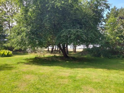 Holiday house 5 Personen Ferienhaus in Dannemare-By Traum - Outdoor photo 14