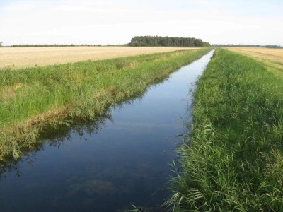 Holiday house 5 Personen Ferienhaus in Dannemare-By Traum - Outdoor photo 17