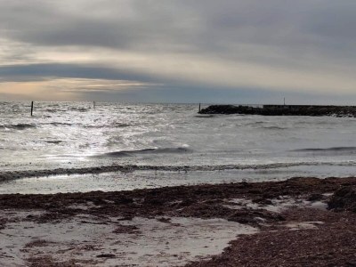 Holiday house 5 Personen Ferienhaus in Dannemare-By Traum - Outdoor photo 27