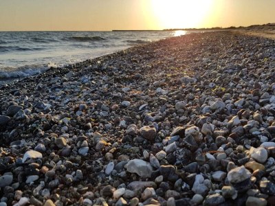 Holiday house 5 Personen Ferienhaus in Dannemare-By Traum - Outdoor photo 33