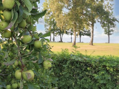 Holiday house Seafront Holiday Home with Hot Tub - Outdoor photo 14