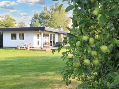 Holiday house Seafront Holiday Home with Hot Tub - Outdoor photo 24